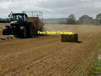 130mt Wheat Straw 8x4x3 Bales