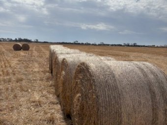 500 x Oaten Hay 450kg 5x4 Rolls