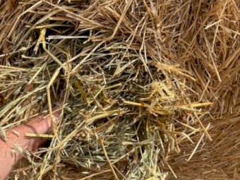 500 x Oaten Hay 450kg 5x4 Rolls