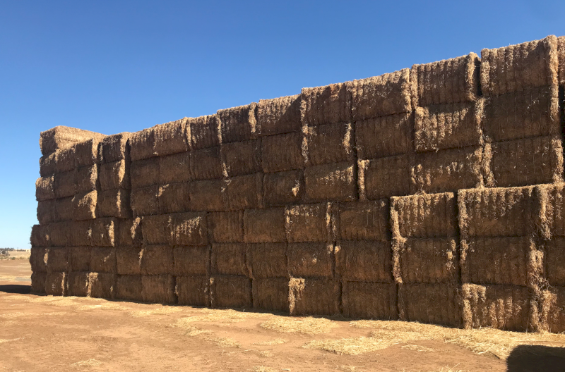 80mt Vetch Hay 8x4x3 Bales