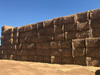 80mt Vetch Hay 8x4x3 Bales