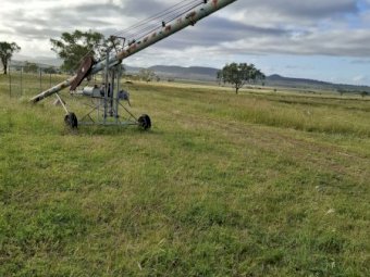 Mitze 49ft x 9" Auger