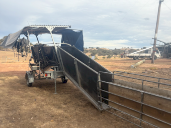 Perkinz 2 stand Mobile Crutching Trailer