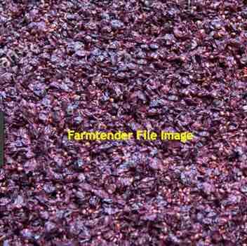 Grape Marc
