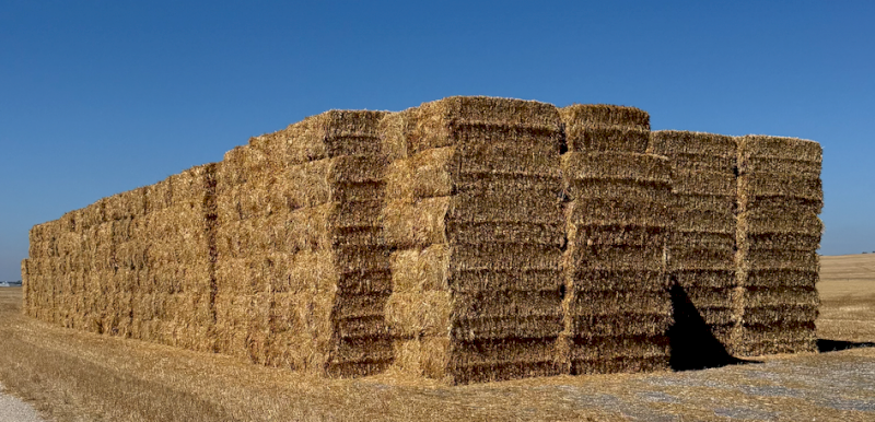 1000mt Oaten Hay 8x4x3 Bales