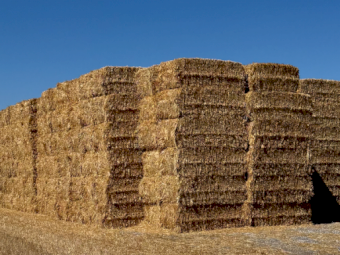 1000mt Oaten Hay 8x4x3 Bales