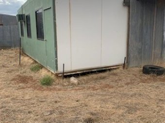 Portable Site Office / Shed