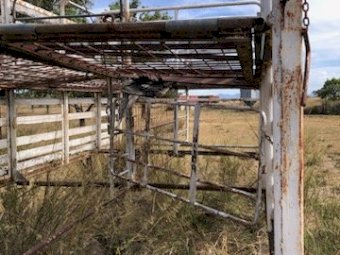 Sheep Crate