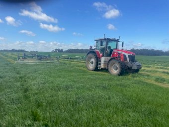 Rye Clover Mix Silage