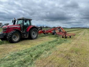 Rye Clover Mix Silage