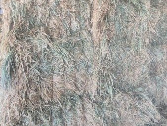 840mt Wheaten Hay 625kg 8x4x3 Bales