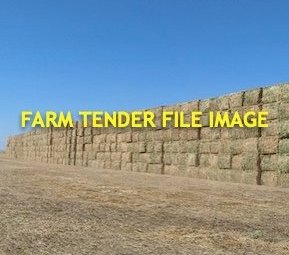 600 x Pasture Hay 8x4x3 Bales