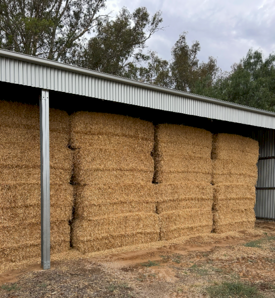 80mt Barley Straw 600-650kg 8x4x3 Bales (Header Tailings)