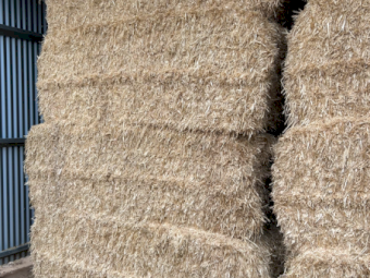 80mt Barley Straw 600-650kg 8x4x3 Bales (Header Tailings)