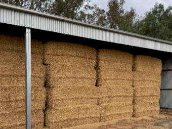 80mt Barley Straw 600-650kg 8x4x3 Bales (Header Tailings)