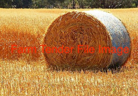100 x Barley Hay Round Bales