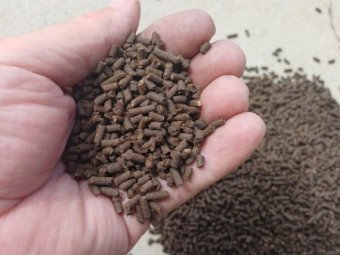 Composted Inoculated Pelletised Chicken Manure