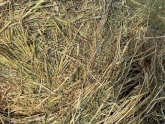 120 X Oaten Hay 5X4 Round Bales
