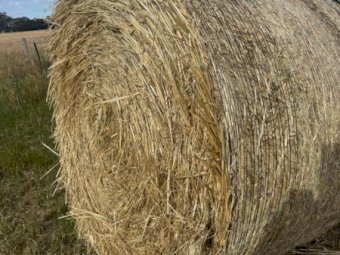 120 X Oaten Hay 5X4 Round Bales