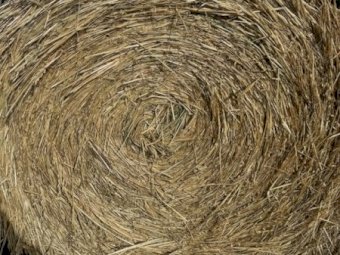 120 X Oaten Hay 5X4 Round Bales