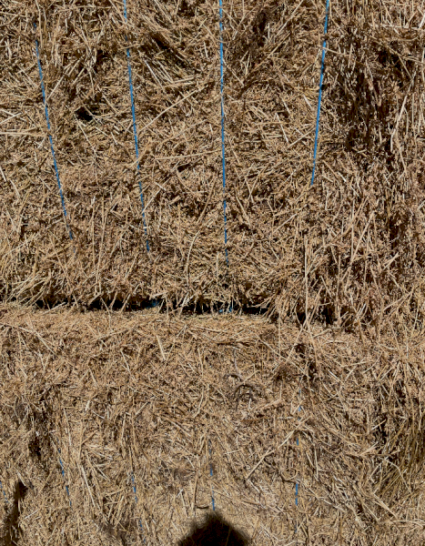 25 mt Lucerne Hay 600-640kg 8x4x3 Bales