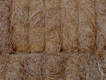 200mt Rye Grass and Clover Hay 500kg 8x4x3 Bales