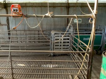 Prattley Auto Weighing Crate