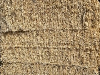 300mt Oaten Hay 550kg 8x4x3 Bales