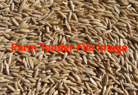 10mt Winteroo Oats