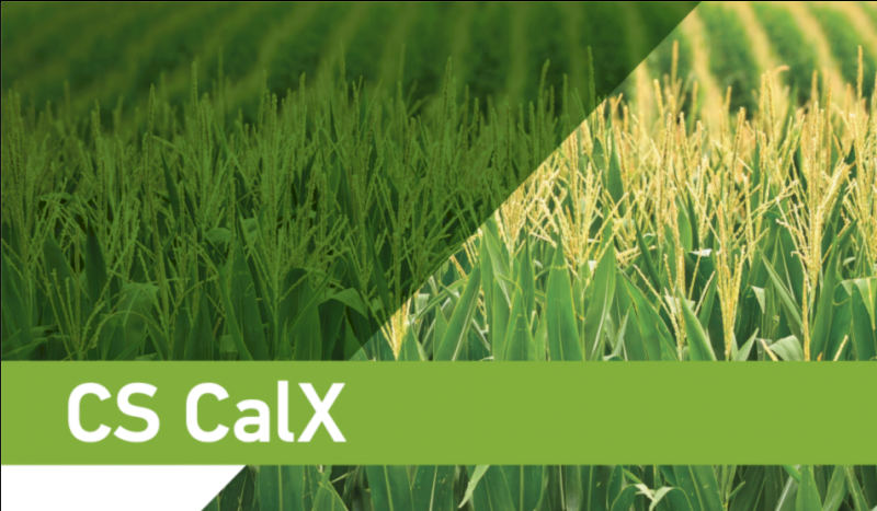CS Calx