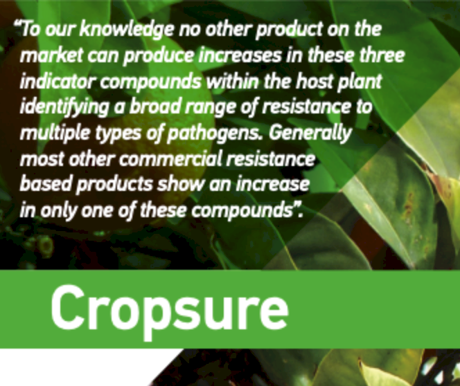 CS Cropsure A+B