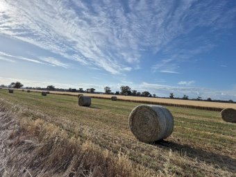 50mt Oaten Hay 5x4 Rolls