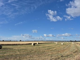 50mt Oaten Hay 5x4 Rolls
