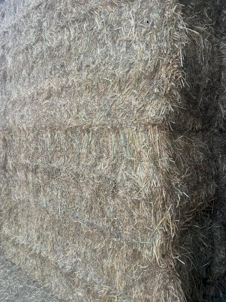 200mt Oaten Hay 650kg 8x4x3 Bales