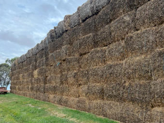 112mt Vetch Hay 8x4x3 Bales