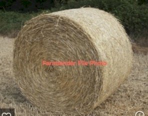 500mt Wheaten Hay Round Bales