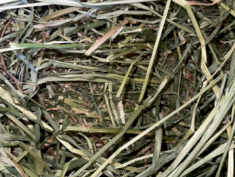 200 X Lucerne Rye Hay 4X4 Round Bales