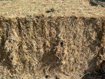 1000 mt Oaten/Rye Hay