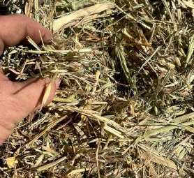 1000 mt Oaten/Rye Hay
