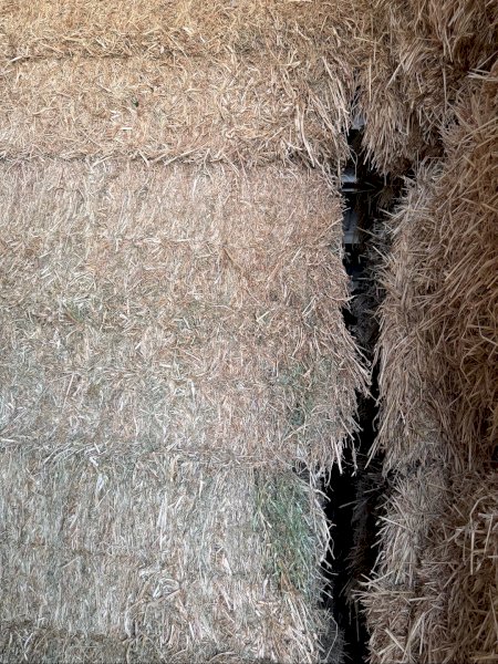 55mt Clover Hay 640kg 8x4x3 Bales