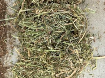 55mt Clover Hay 640kg 8x4x3 Bales