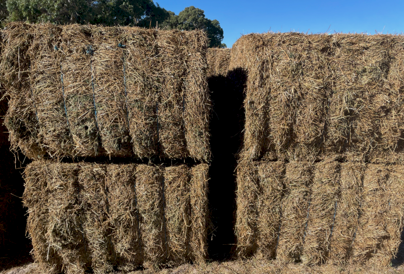 39mt Lucerne Hay 600kg 8x4x3 Bales