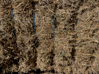 39mt Lucerne Hay 600kg 8x4x3 Bales