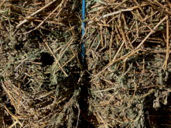 39mt Lucerne Hay 600kg 8x4x3 Bales