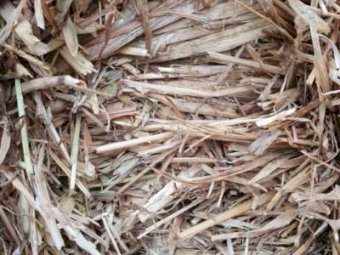 Oaten Hay 8x4x3 Bales