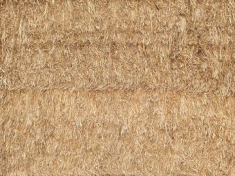 Shedded Export Quality Oaten Hay
