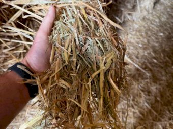 25/26 Season Oaten Hay