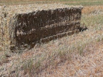 30mt Oaten Hay 550kg 8x4x3 Bales