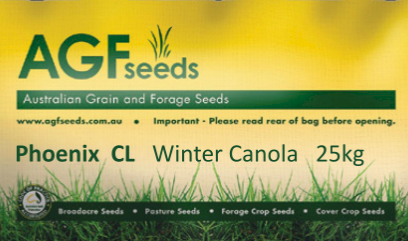 Canola Phoenix CL Seed 25kg x 40
