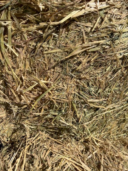 200 m/t Oaten Hay 26 Season